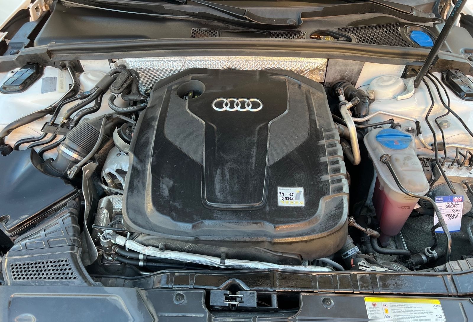 Audi Cabriolet foto 13