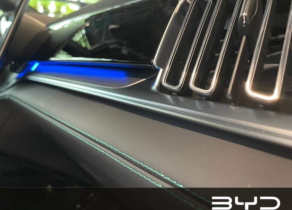 BYD SEAL U DM-i Boost Nur für Gewerbe und Export foto 15