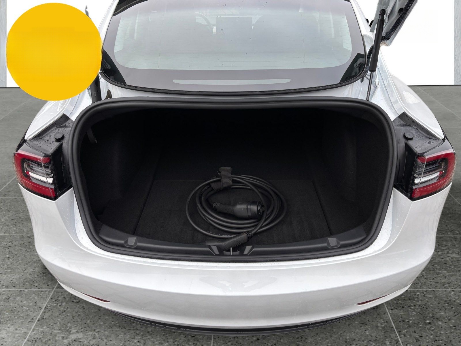 Tesla Model 3 RWD 325 Standard Range foto 16