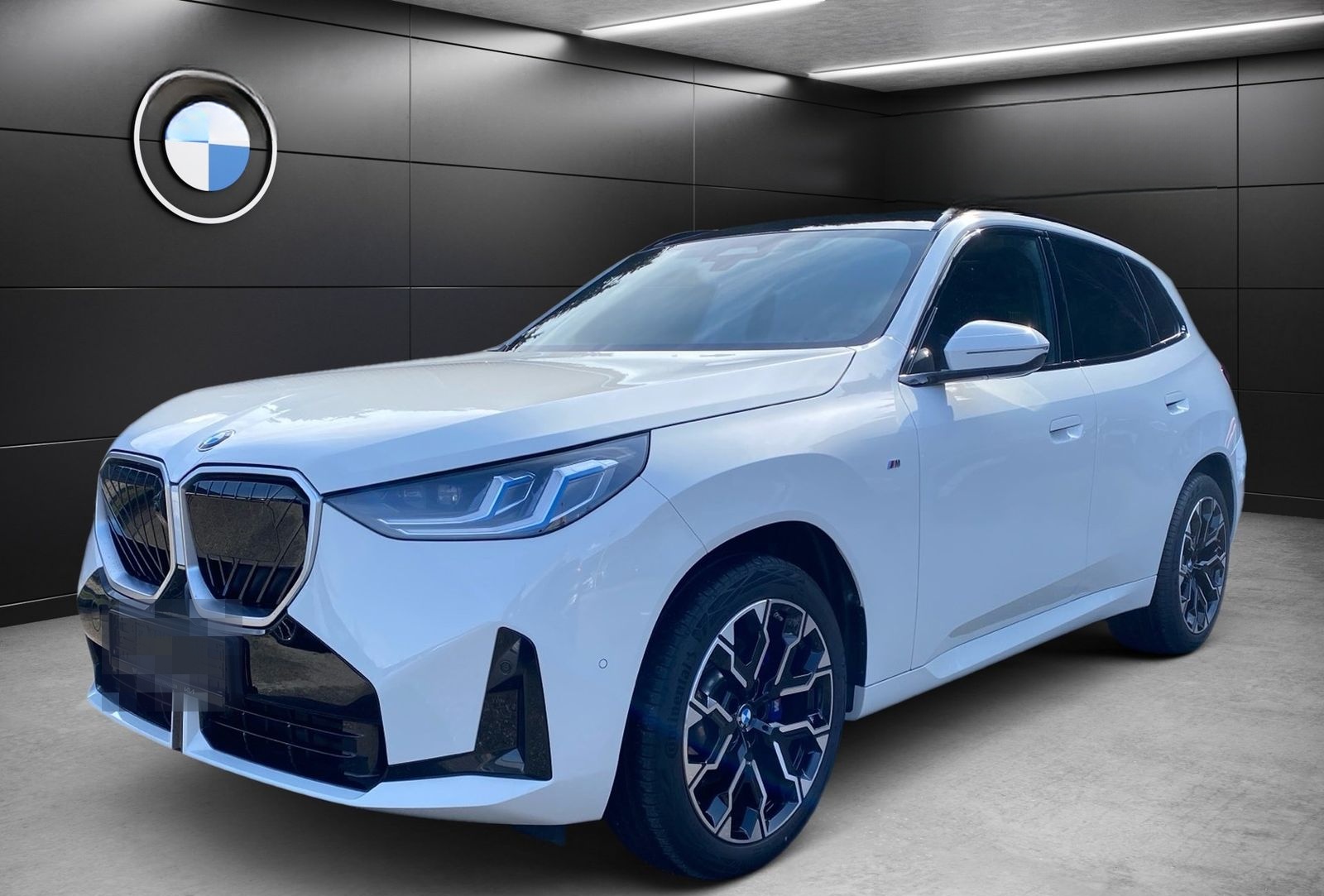 BMW X3 20d xDrive M Sport Pano DA Prof. STH AHK 20 foto 2