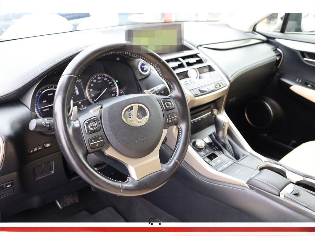 Lexus NX 300 E-Four foto 14
