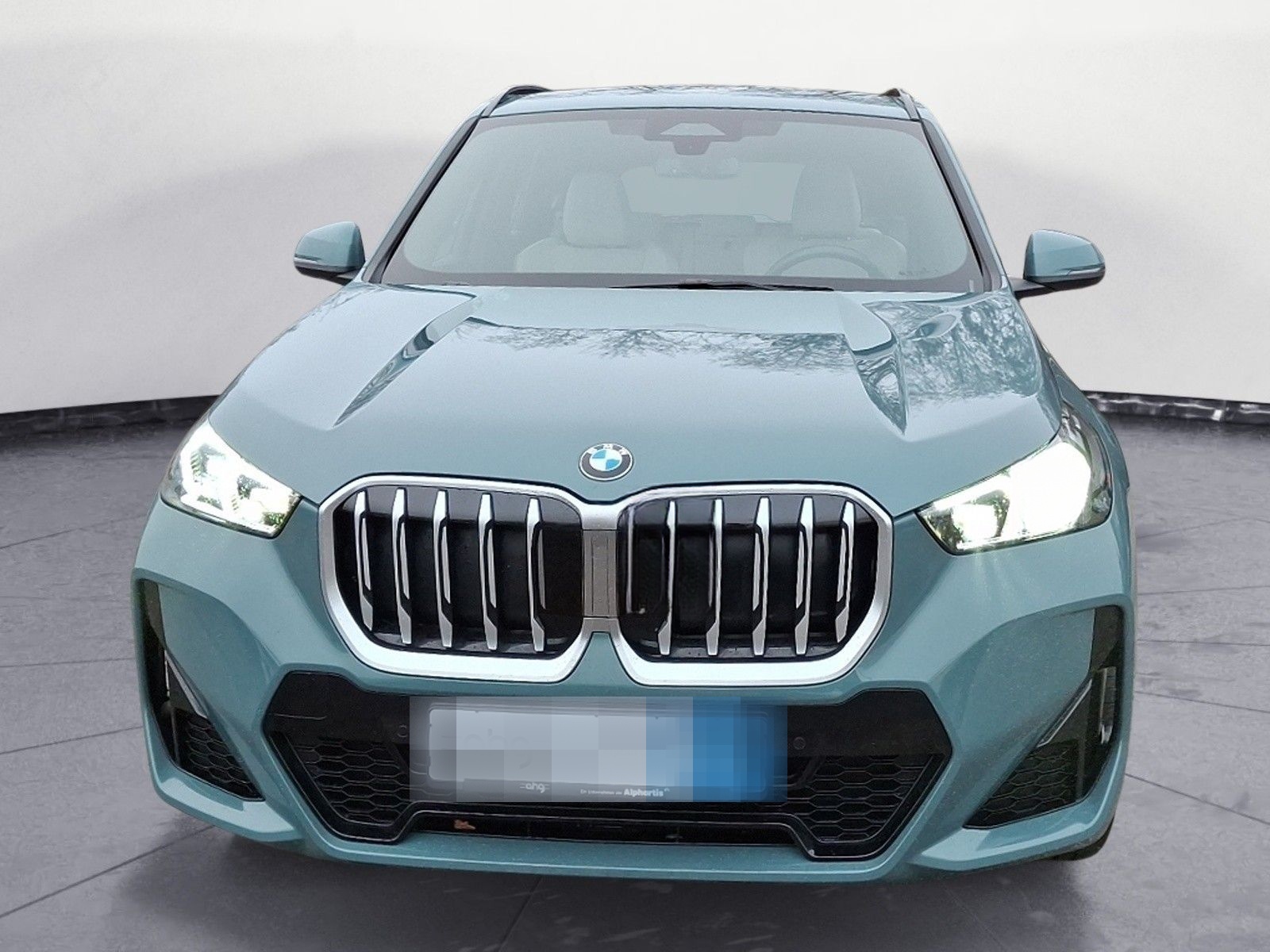 BMW X1 sDrive20i Steptronic M SPORT AHK Alarmanlage  foto 6