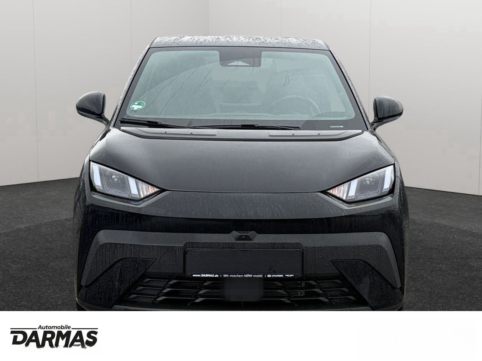 BYD DOLPHIN SURF Comfort  foto 2