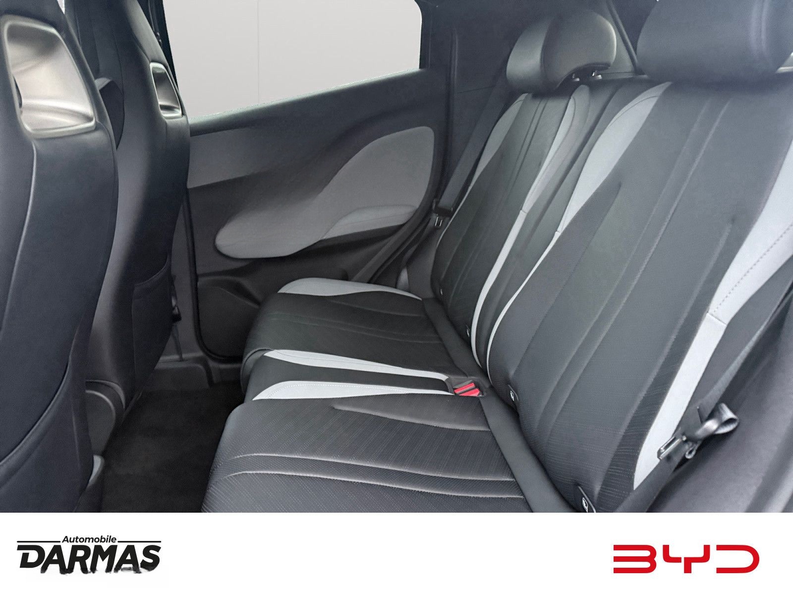 BYD DOLPHIN SURF Comfort  foto 11