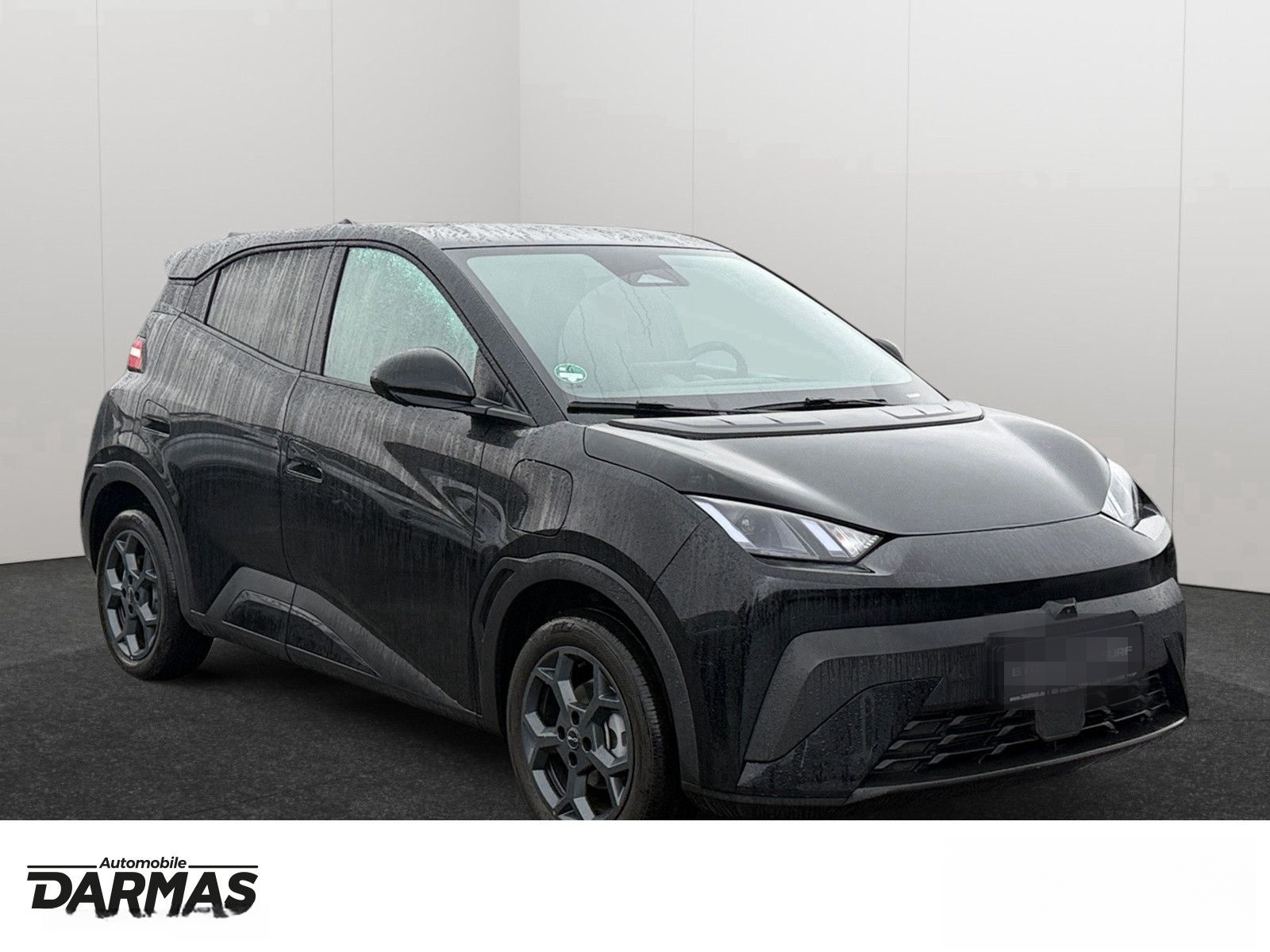 BYD DOLPHIN SURF Comfort  foto 3