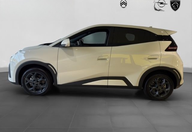 BYD Dolphin Surf Navi Leder Digitales Cockpit 360 Ka foto 3