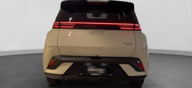 BYD Dolphin Surf Navi Leder Digitales Cockpit 360 Ka foto 4