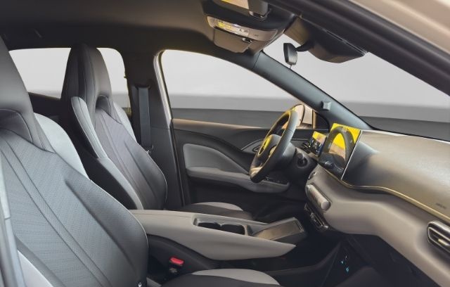 BYD Dolphin Surf Navi Leder Digitales Cockpit 360 Ka foto 9