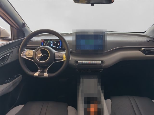 BYD Dolphin Surf Navi Leder Digitales Cockpit 360 Ka foto 10