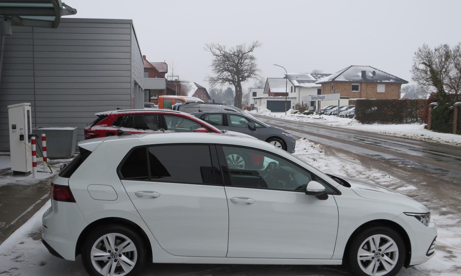 Volkswagen Golf VIII 1.5 TSI Life Navi Ganzjahr LED Parkh. foto 9