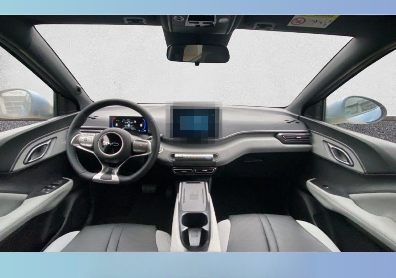 BYD DOLPHIN Surf Comfort 43,20 kWh Kamera Navi foto 8