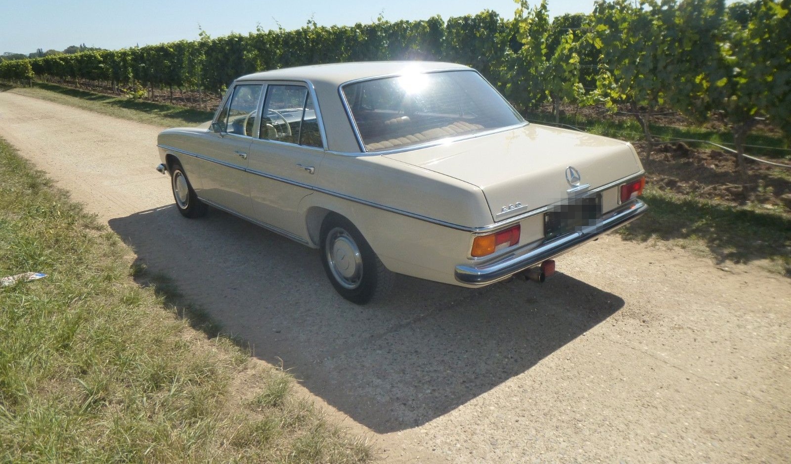 Mercedes-Benz 220 foto 4