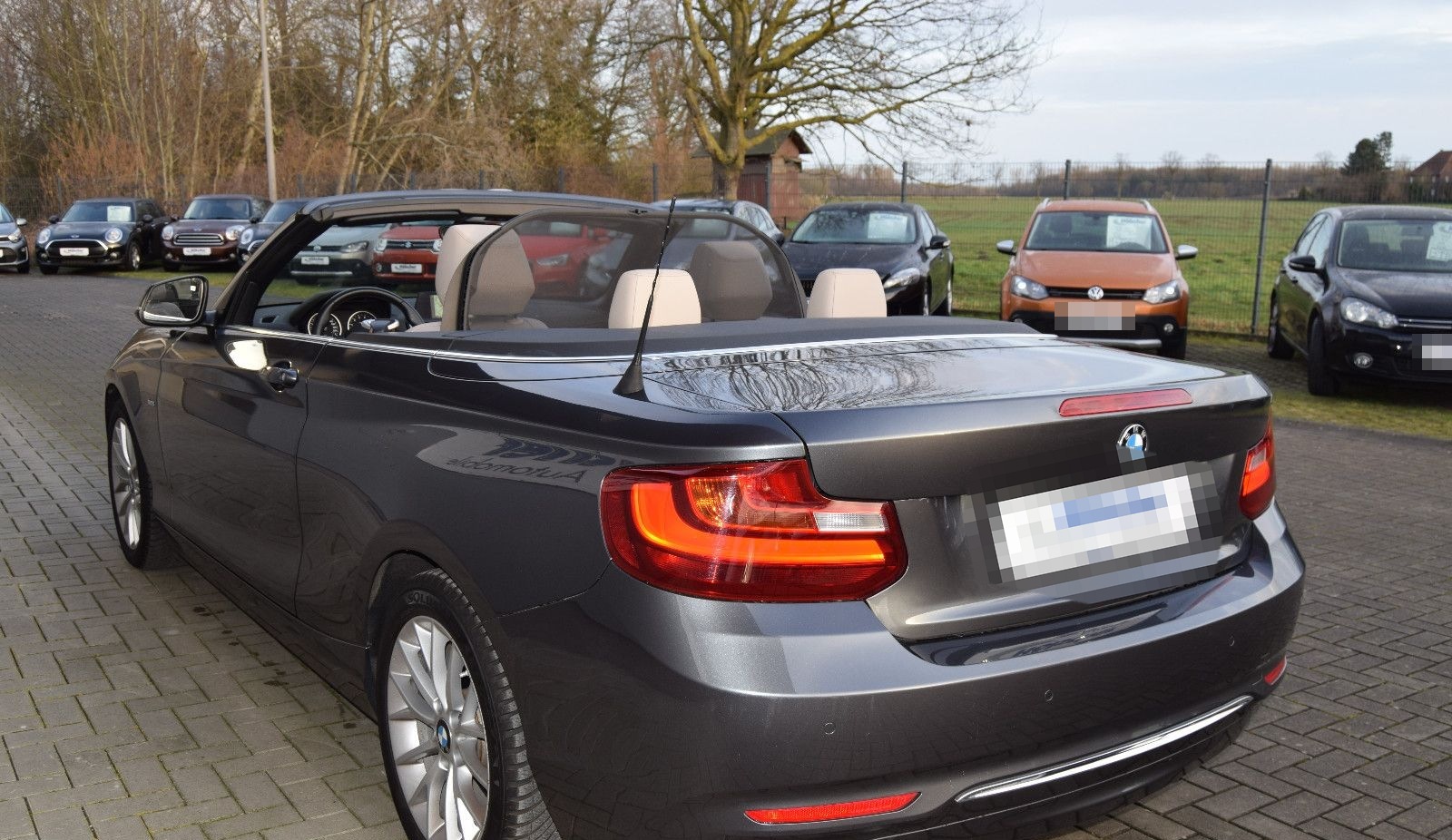 BMW 218i,Cab. Automatik,Navi,Leder,Xenon,Parks,V&H,, foto 4