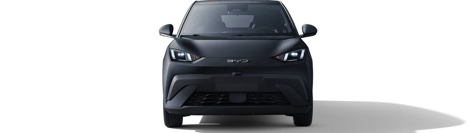 BYD DOLPHIN SURF Comfort foto 2