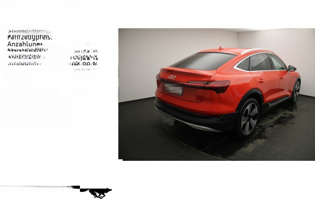 Audi e-tron 50 quattro advanced AHK/ACC/Pano foto 2