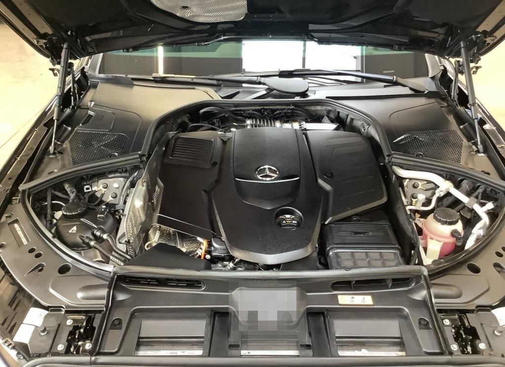 Mercedes-Benz S 450 d 4M L AMG/Multibeam/Head-up/360°K/Pano-SD foto 21