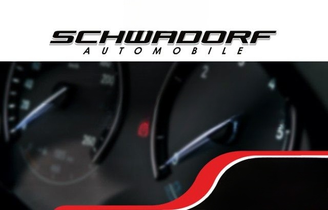 BMW 320d Touring Sportsitz Widscreen ACC RFK 17" foto 21