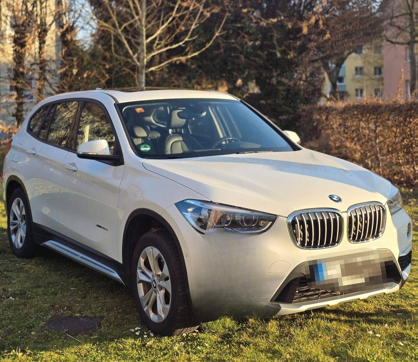 BMW X1 xDrive25d xLine Steptronic xLine foto 2