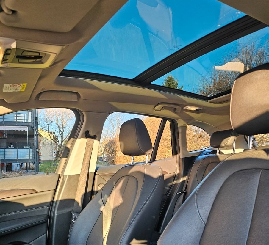 BMW X1 xDrive25d xLine Steptronic xLine foto 11