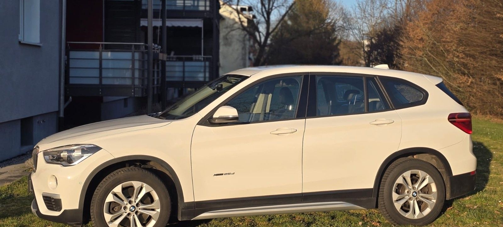 BMW X1 xDrive25d xLine Steptronic xLine foto 3
