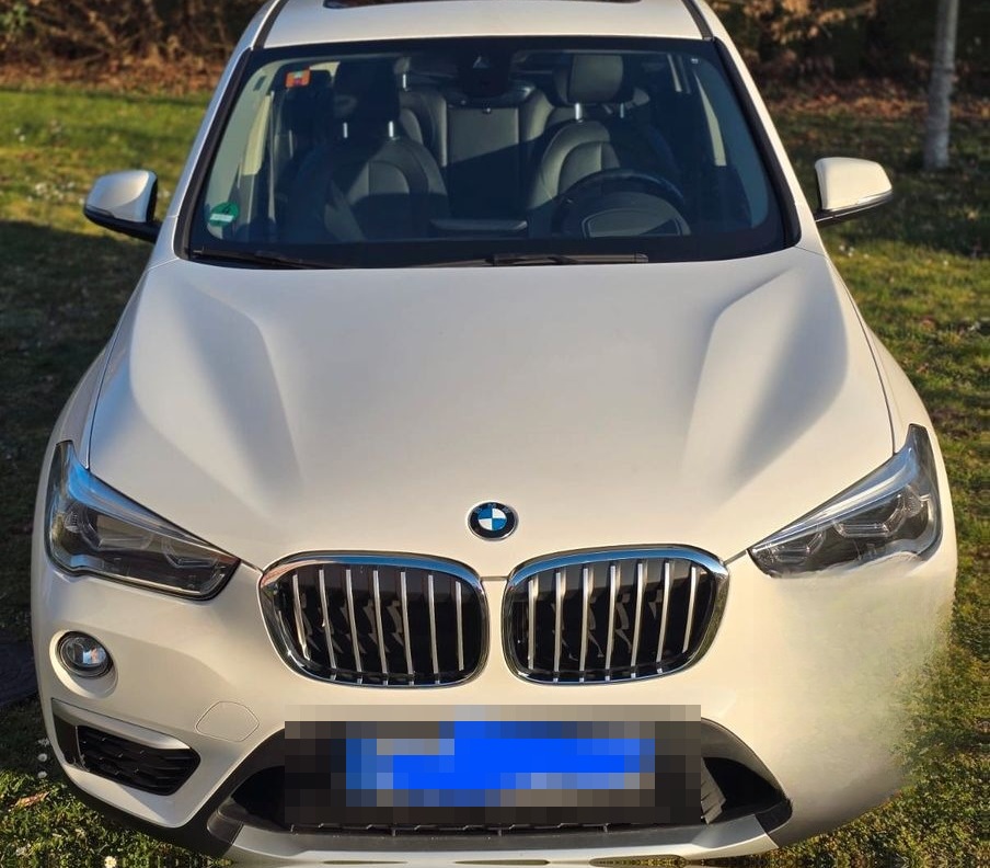BMW X1 xDrive25d xLine Steptronic xLine foto 4