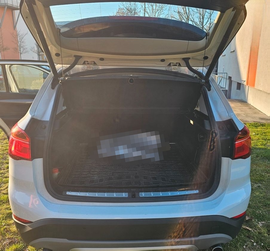 BMW X1 xDrive25d xLine Steptronic xLine foto 9