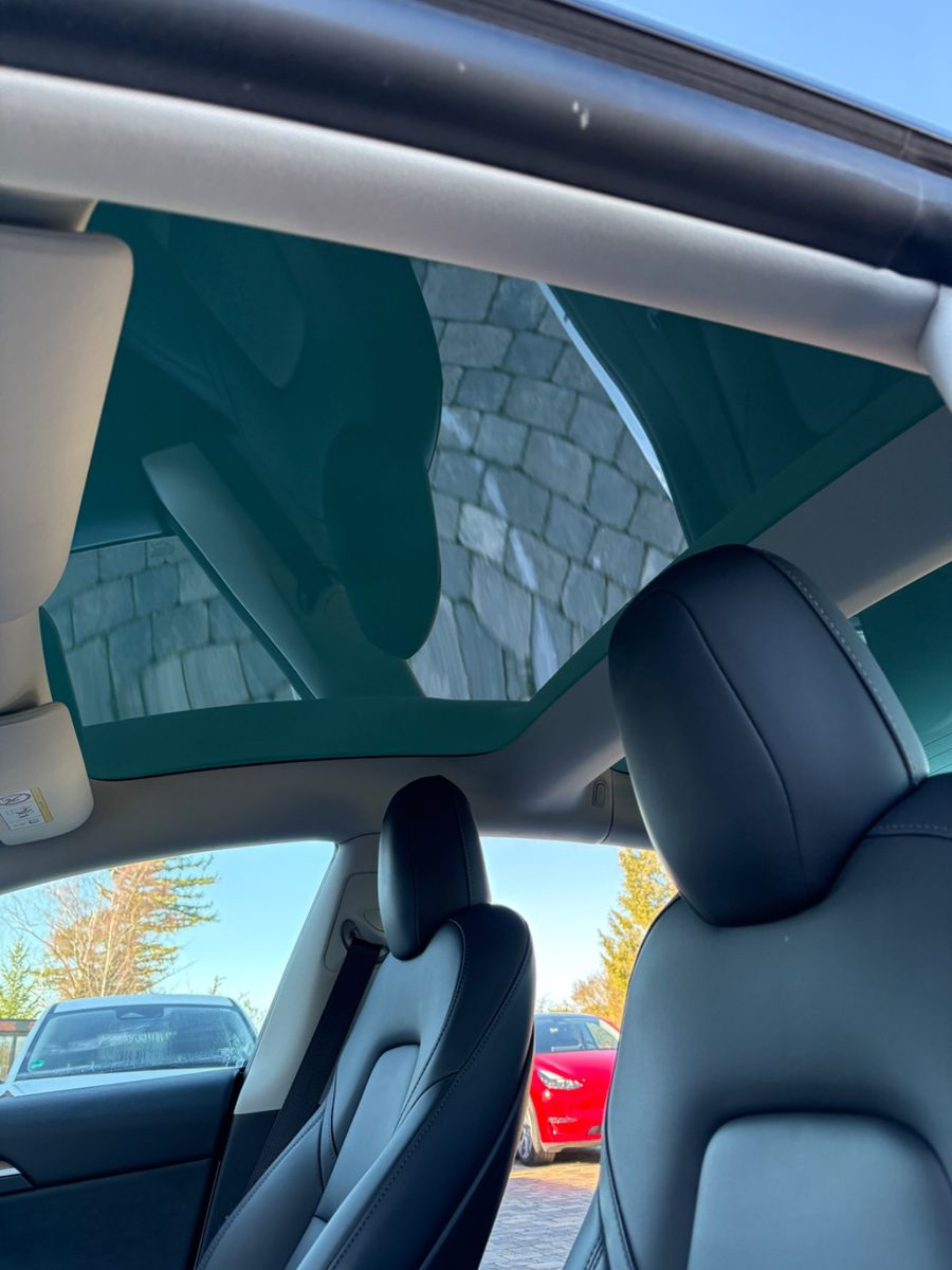 Tesla Model 3 Performance Dual AWD foto 25