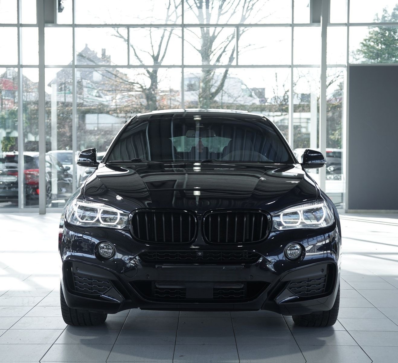 BMW X6 xD 30 d M Sportpaket *20 *GSD*H-UP*ACC*360° foto 3