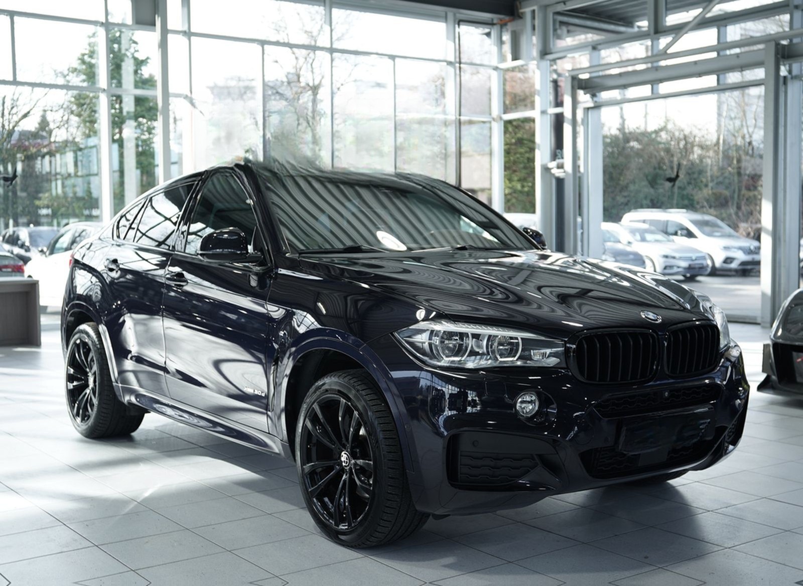 BMW X6 xD 30 d M Sportpaket *20 *GSD*H-UP*ACC*360° foto 5