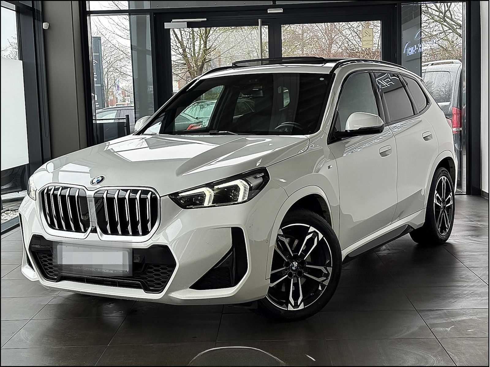 BMW X1 23 d xDrive M Sport Paket LED Assist. Plus foto 2