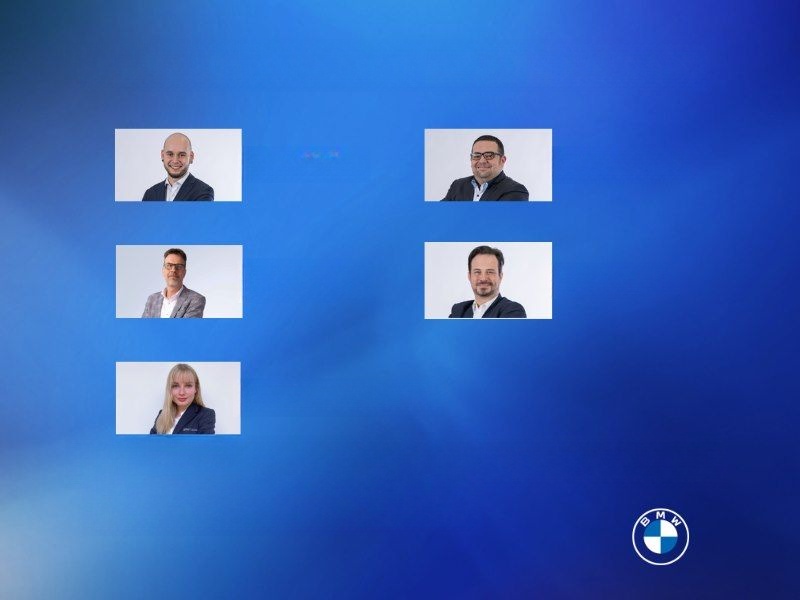 BMW 530d xDrive Touring AHK Driv.Assist.Prof Laser foto 18