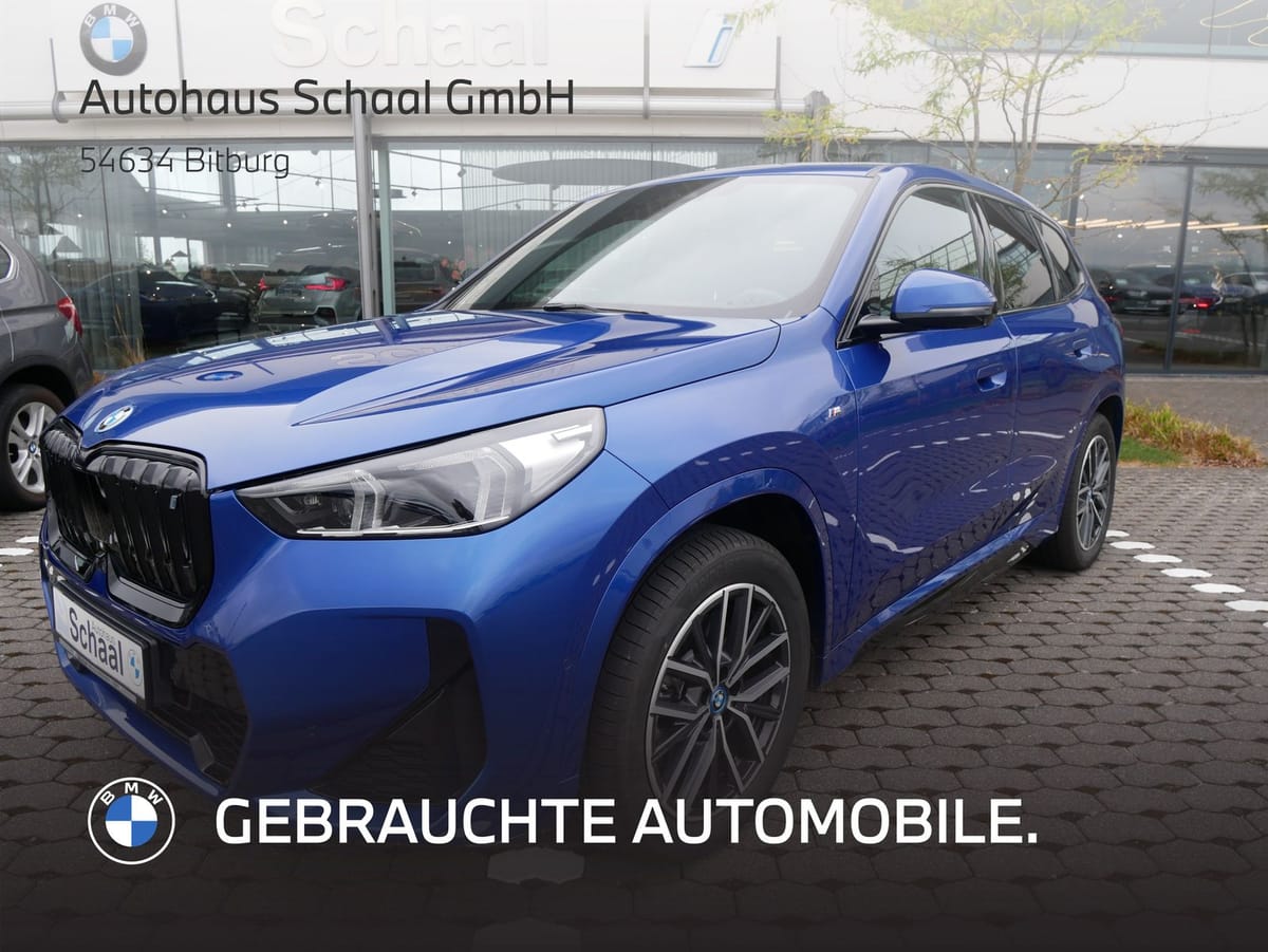 BMW iX1 xDrive30 M Sportpaket LCProf. DAProf. AHK AC