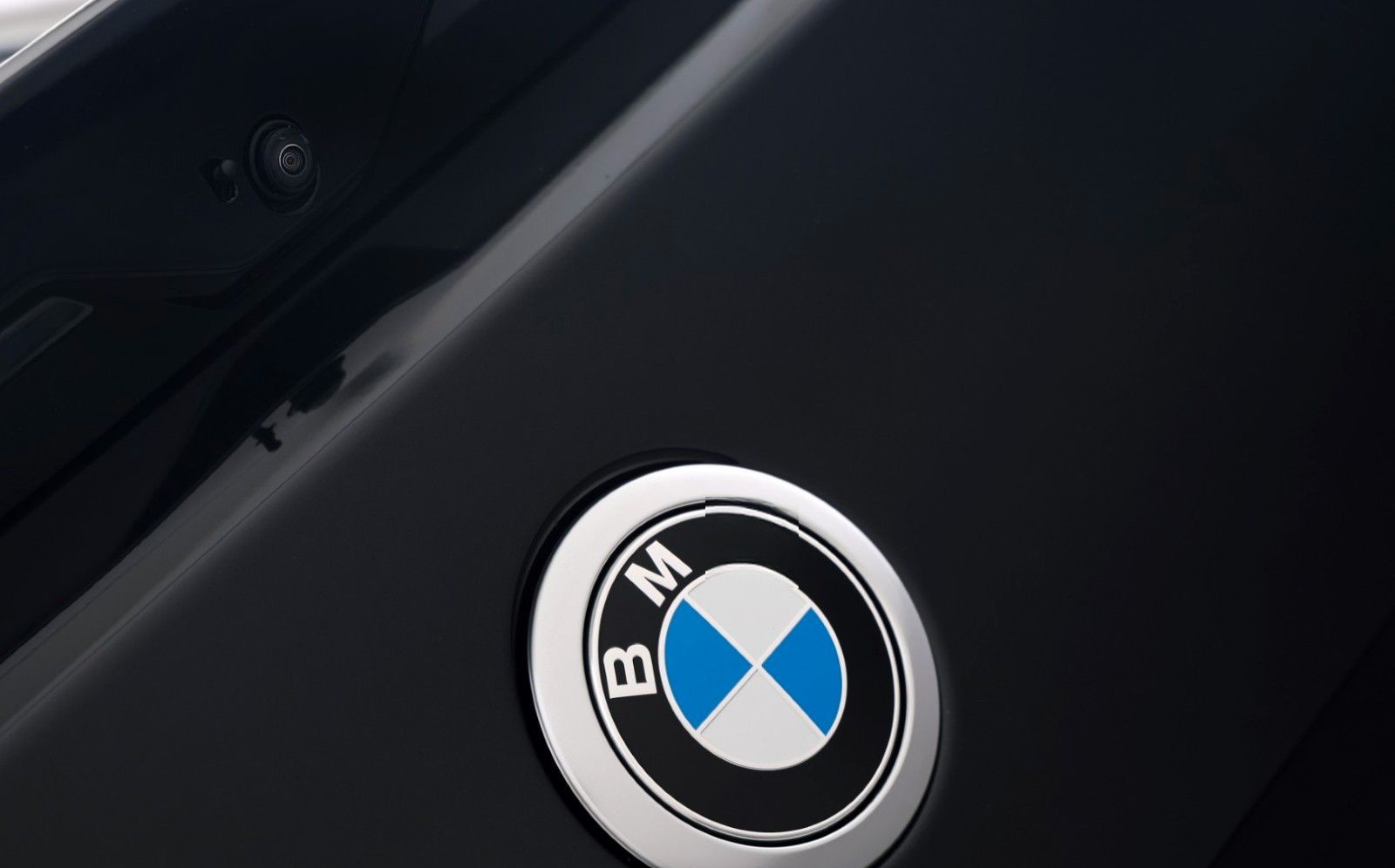 BMW X2 sDrive18d M Sport ICONIC H&K ACC 360° AHK 20" foto 12