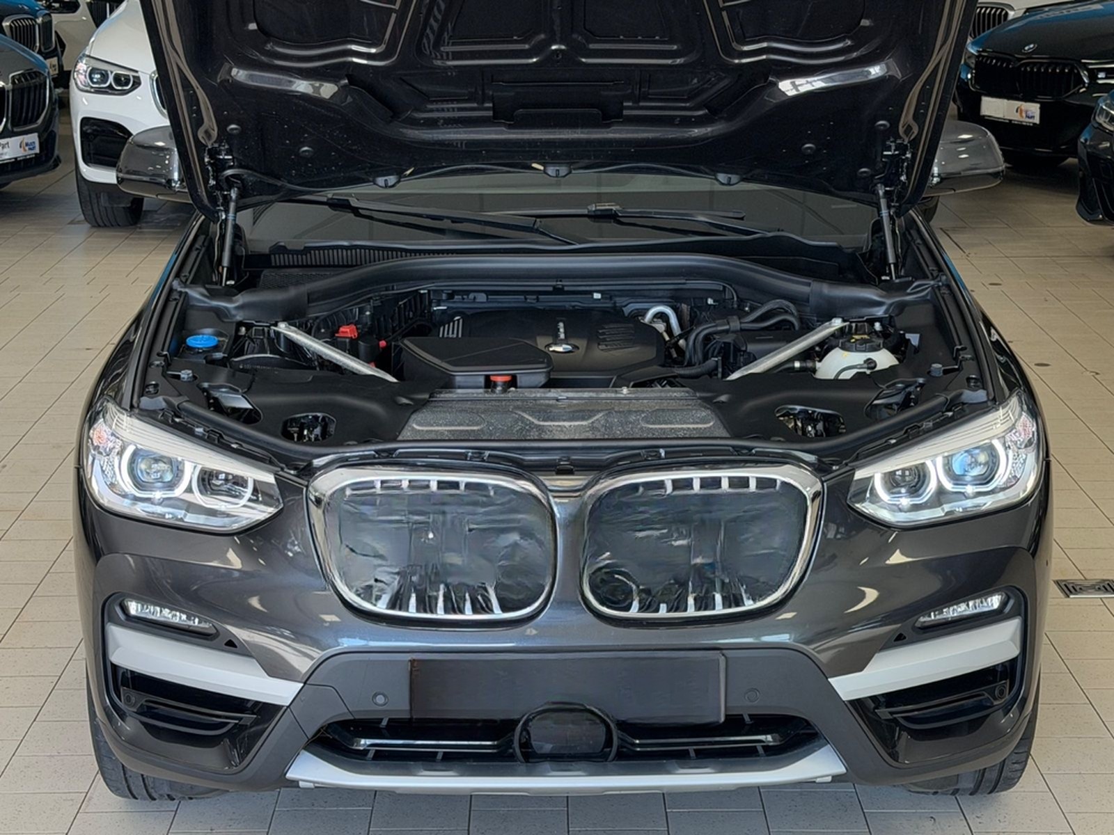 BMW X3 xDrive xLine HUD/Panorama/AHK/StopGo/ParkAss foto 38