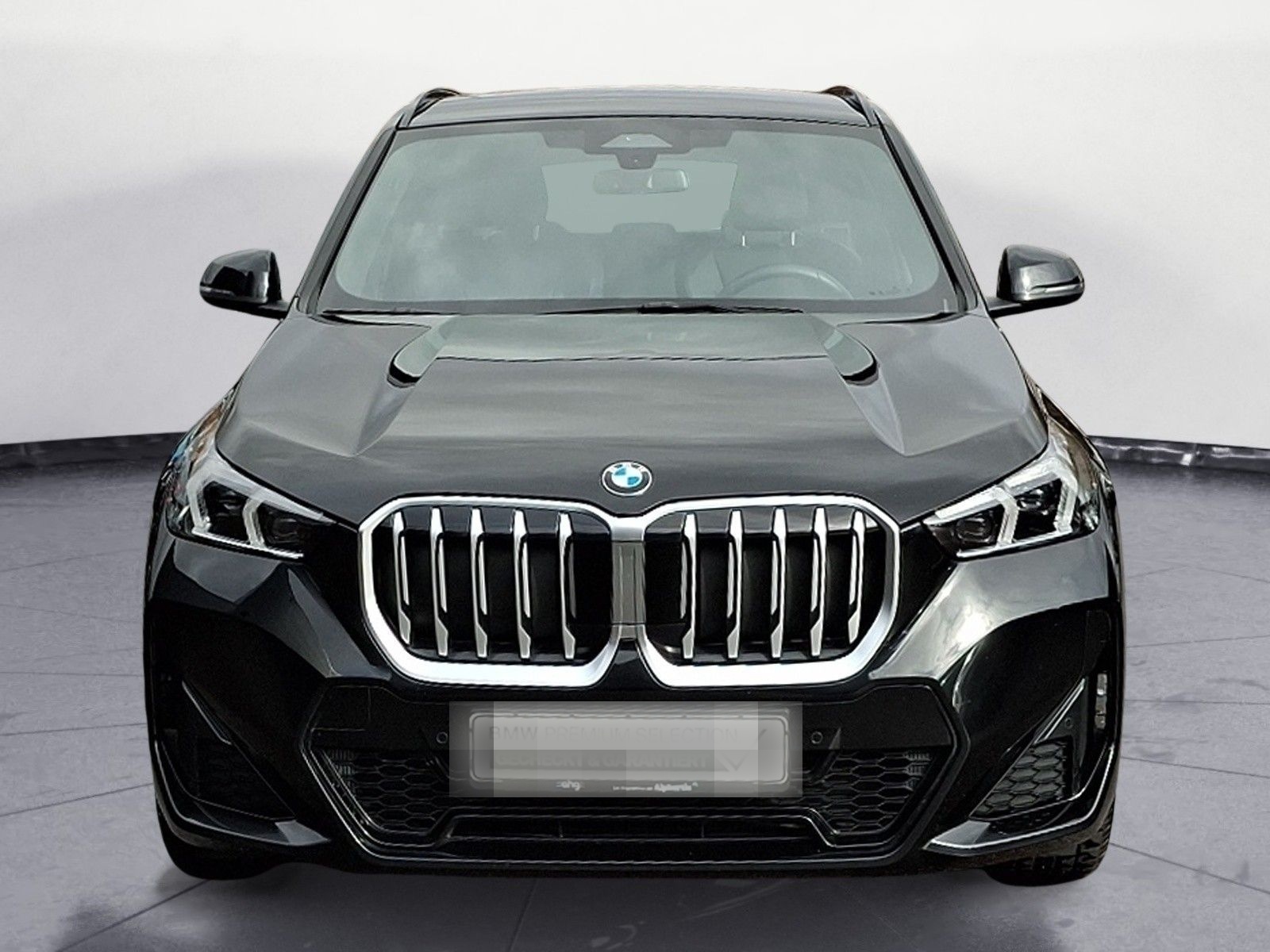 BMW X1 xDrive23d Aut. M Sportpaket LED Hifi Kamera P foto 7