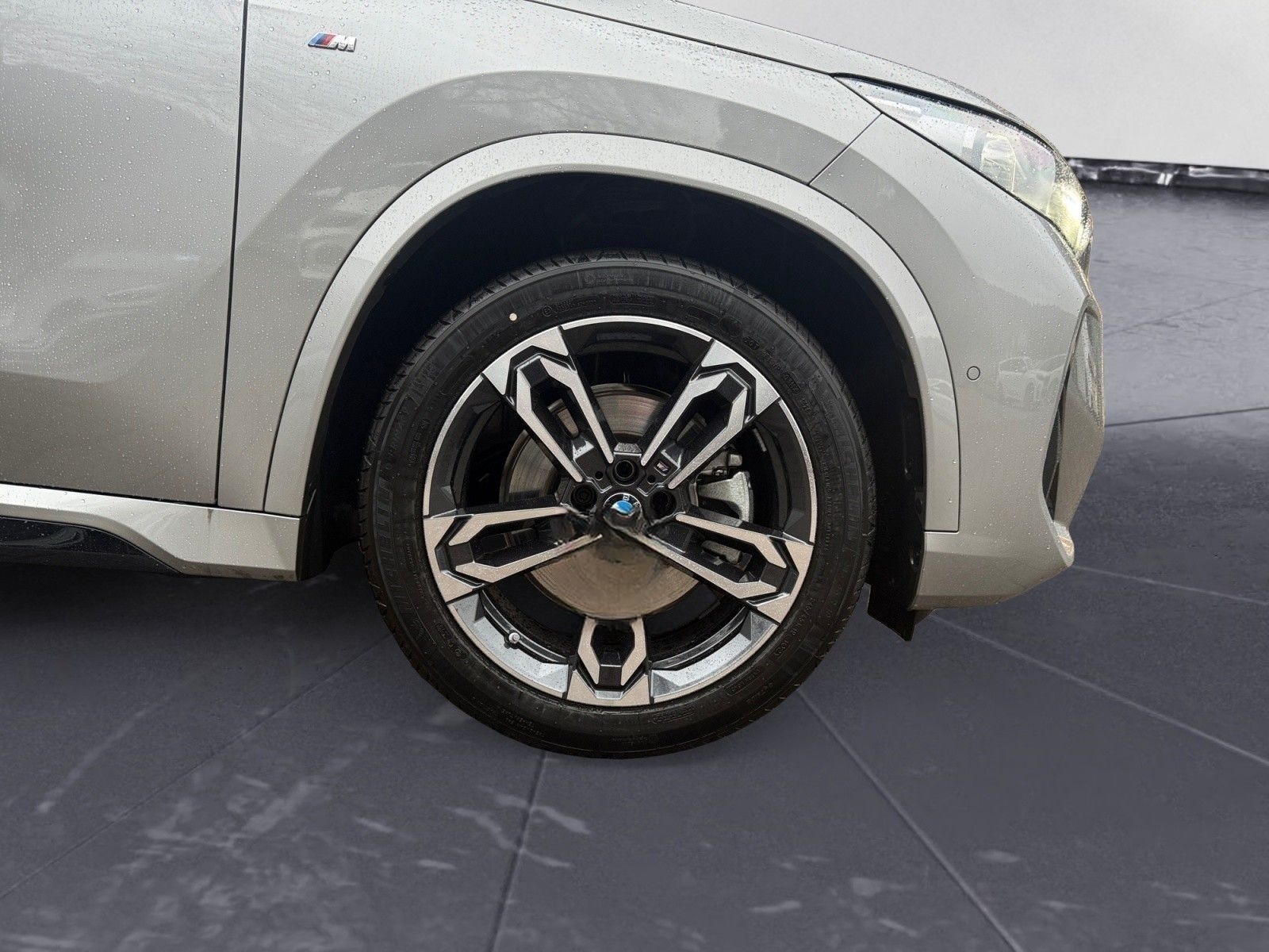 BMW X1 sDrive20i Steptronic M Sportpaket Memory vorn foto 12