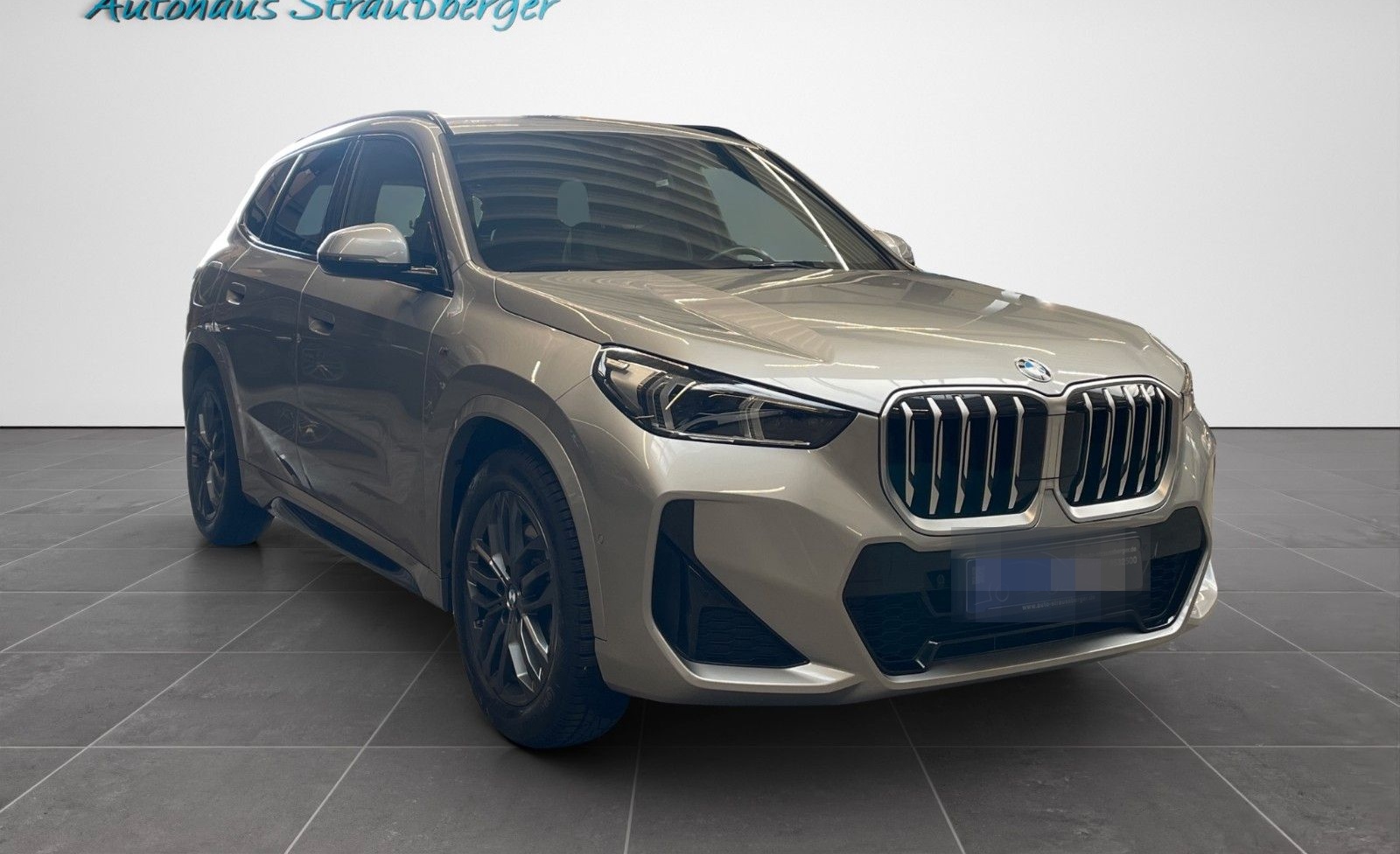 BMW X1 23 d xDrive M Sport ACC AHK LRHZ H/K LED RFK foto 2