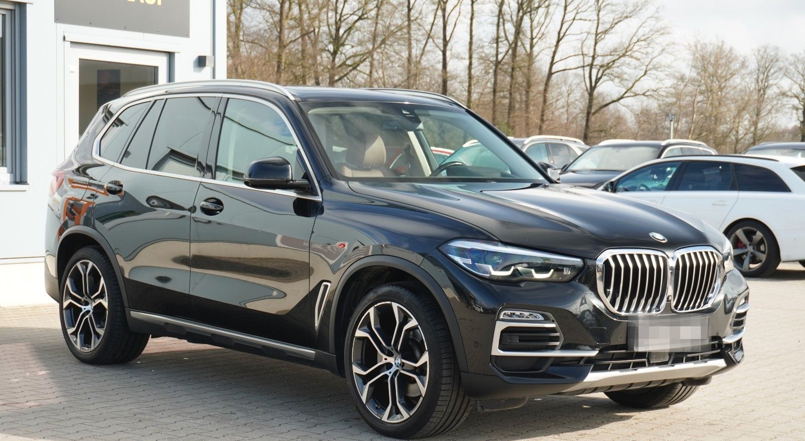 BMW X5 xDrive 30 d xLine foto 5