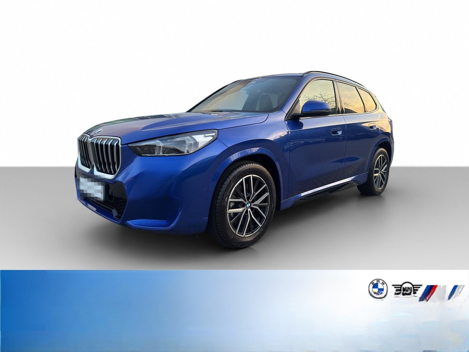 BMW X1 xDrive23d M Sport Park+DrivAsPro AHK Pano foto 1