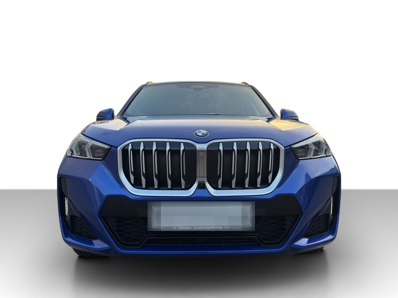 BMW X1 xDrive23d M Sport Park+DrivAsPro AHK Pano foto 4