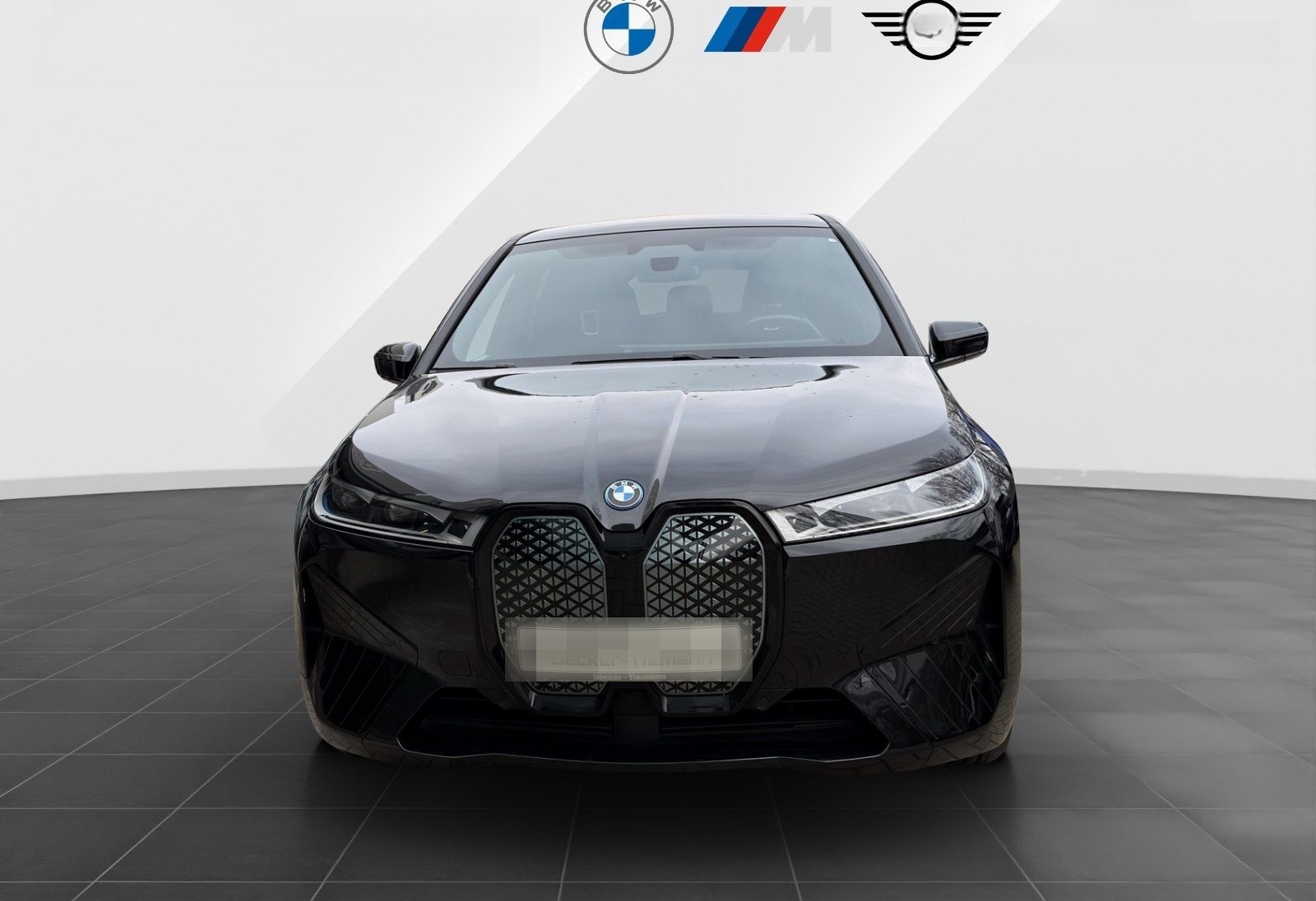 BMW iX xDrive40 21" / AHK /Laser / DrivAssProf/ Harm foto 2
