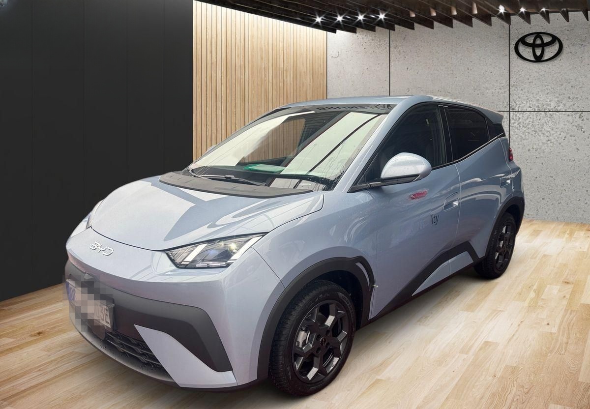 BYD Dolphin Surf 115 kW Comfort foto 2