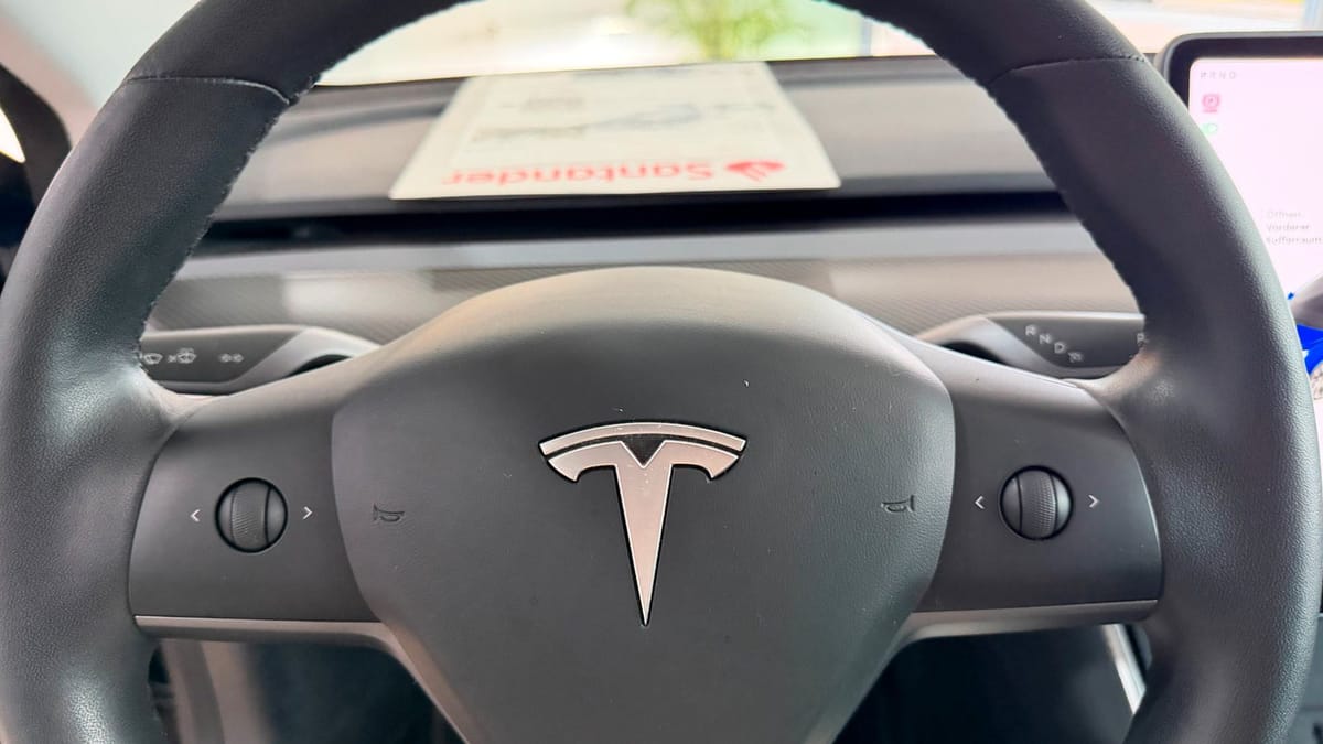 Tesla Model 3 Long Range Dual AWD foto 22