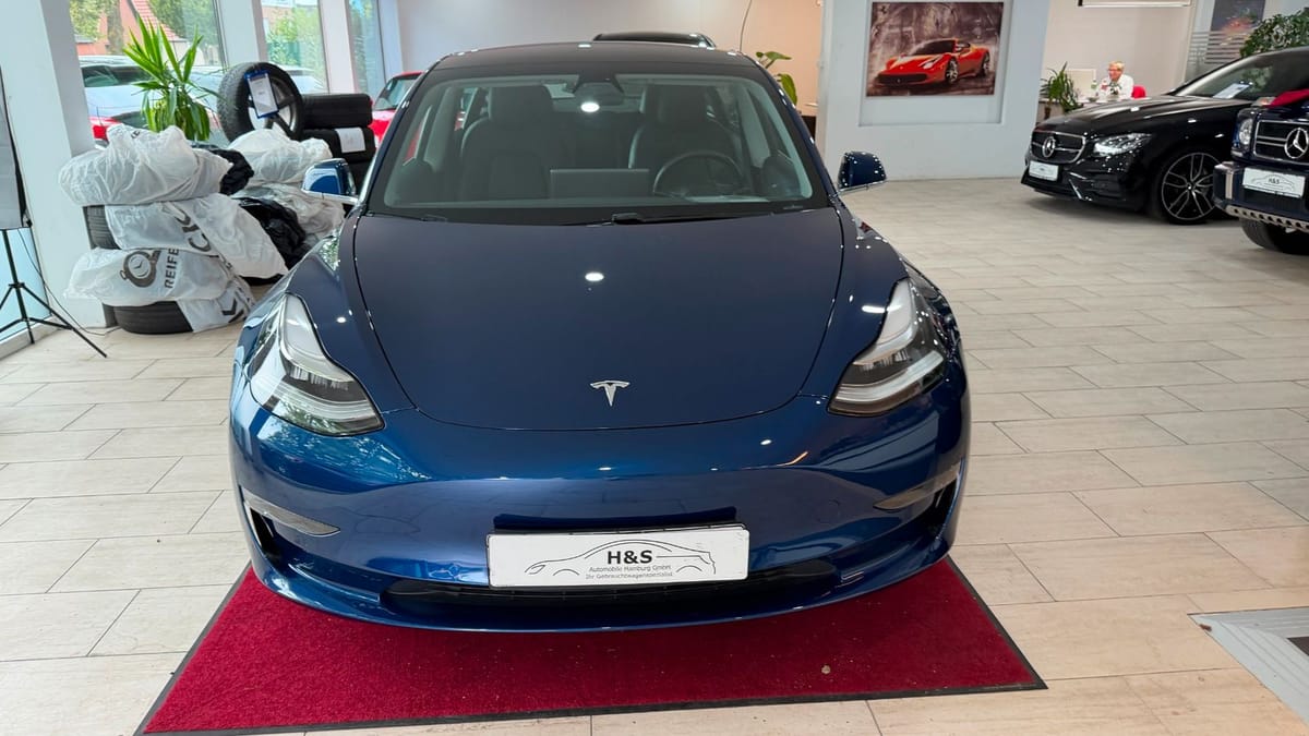 Tesla Model 3 Long Range Dual AWD foto 10