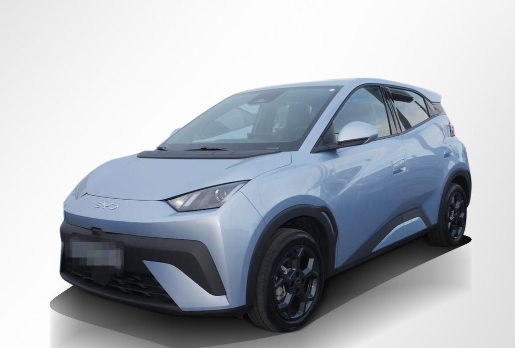 BYD Dolphin Surf 65 kW Boost ACC Klima Navi RüKa 16" foto 10