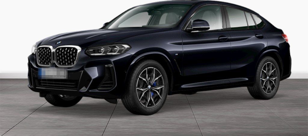 BMW X4 xDrive20i M Sport LiveCockpitProf Kamera LED