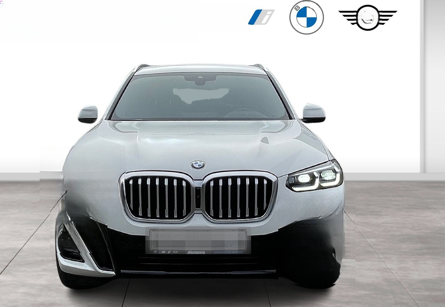 BMW X3 xDrive30d A M-Sport Navi|MFL|PDC|AHK|SHZ|Lede foto 2
