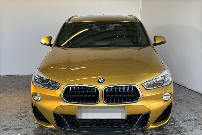 BMW X2 xDrive20d M Sport Navi+.ACC.HuD.AHK.Pano.RFK foto 2