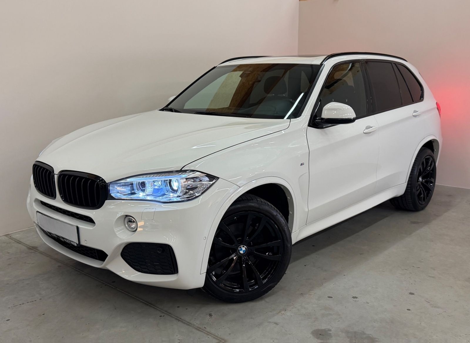 BMW X5 xDrive 30d M-Paket/PANO/AHK/HUD/HiFi/R-KAM/SH foto 2