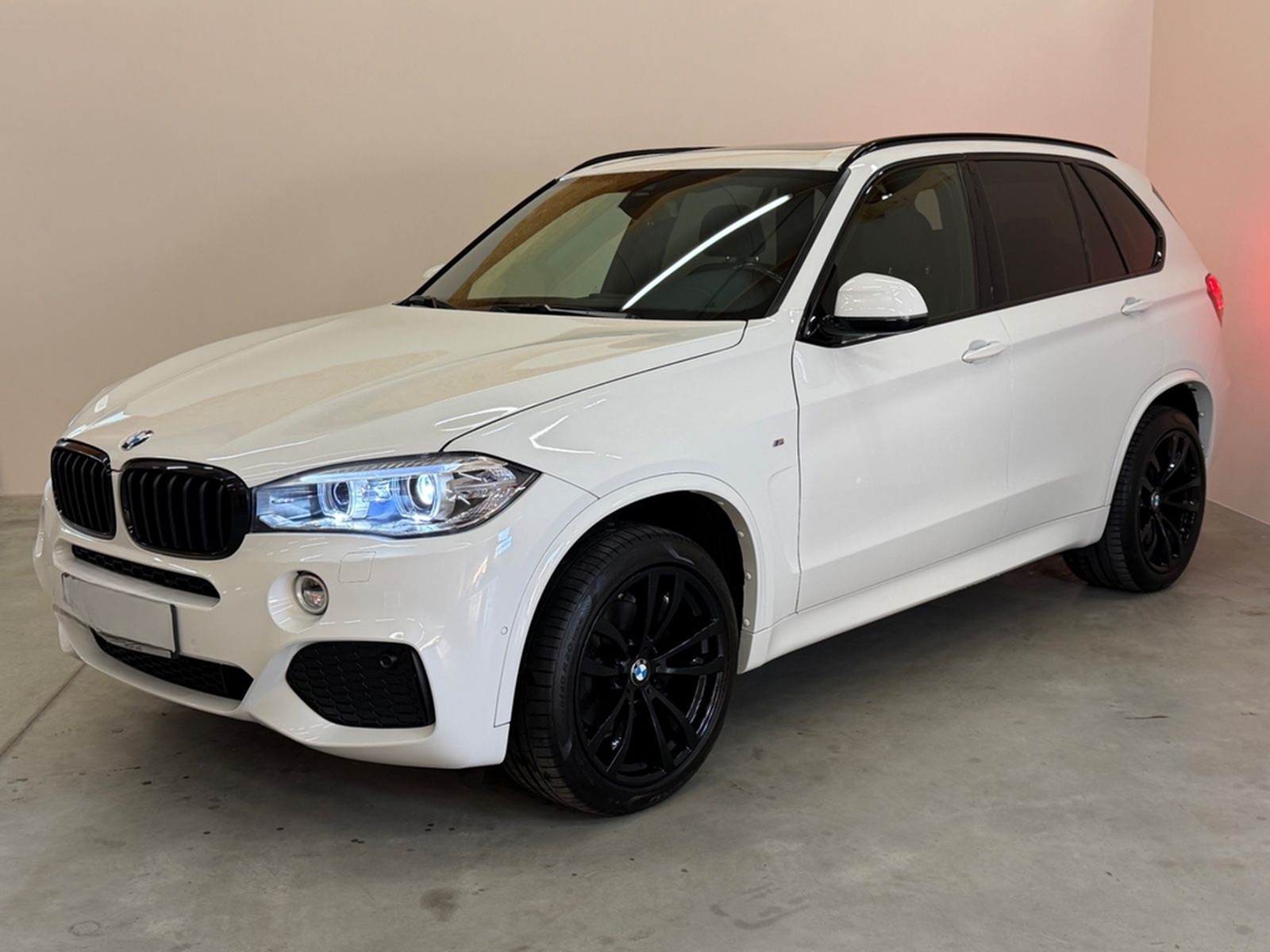 BMW X5 xDrive 30d M-Paket/PANO/AHK/HUD/HiFi/R-KAM/SH foto 3